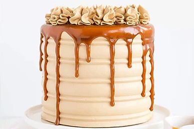 CARAMEL COLOUR MANUFACTURER