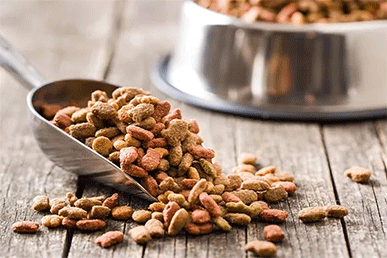 Caramel Colour for Pet Food